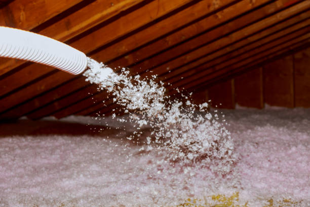 Types of Insulation We Offer in Goreville, IL