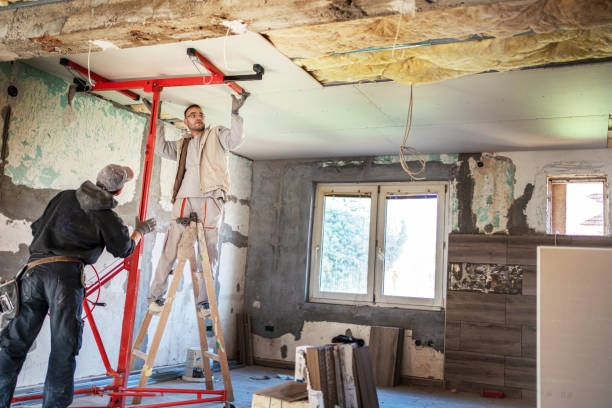 Best DIY Insulation Kits and Guidance in Gorevle, IL