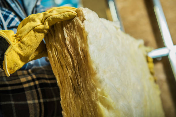Best Fiberglass Insulation in Gorevle, IL